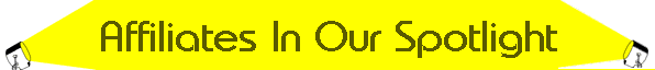 shoretel and toshiba phone system dealer